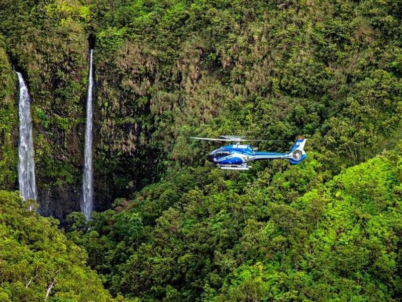 Discover Kauai Helicopter Tour from Princeville