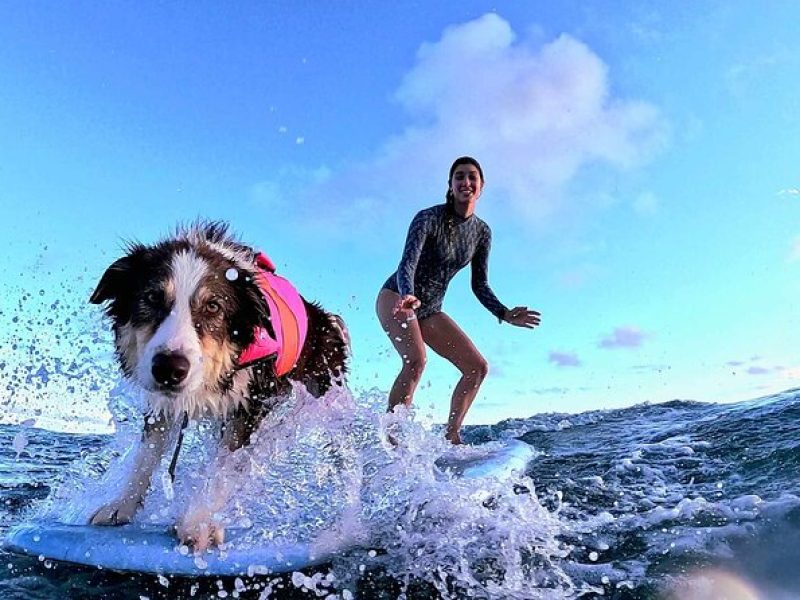 Private 1-on-1 Surf Lesson with Videos and Photos