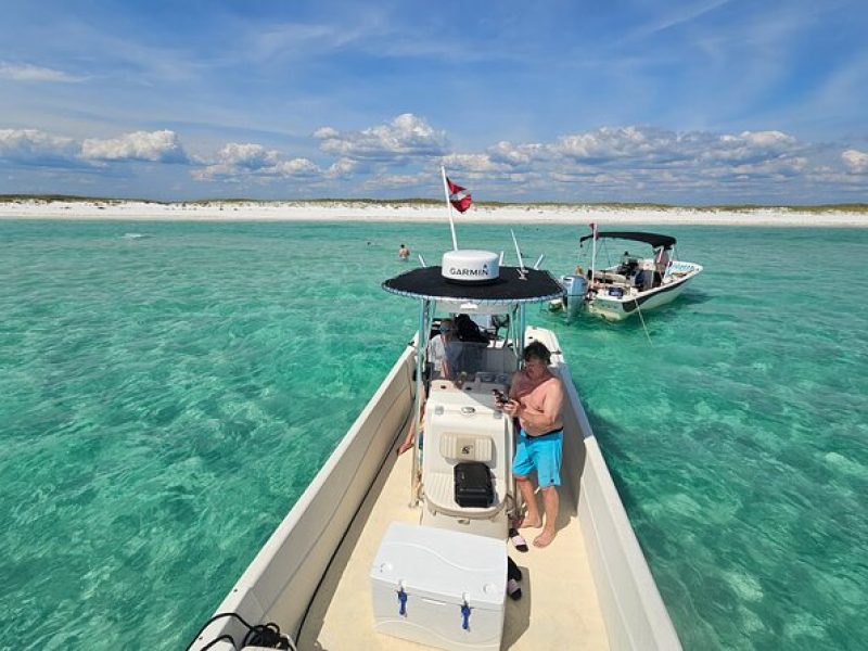 4 Hour Eco Dolphin Tour in Panama