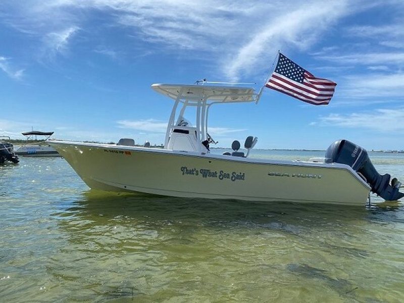 Madeira Beach and Shell Key Preserve Half Day Private Boat Tour