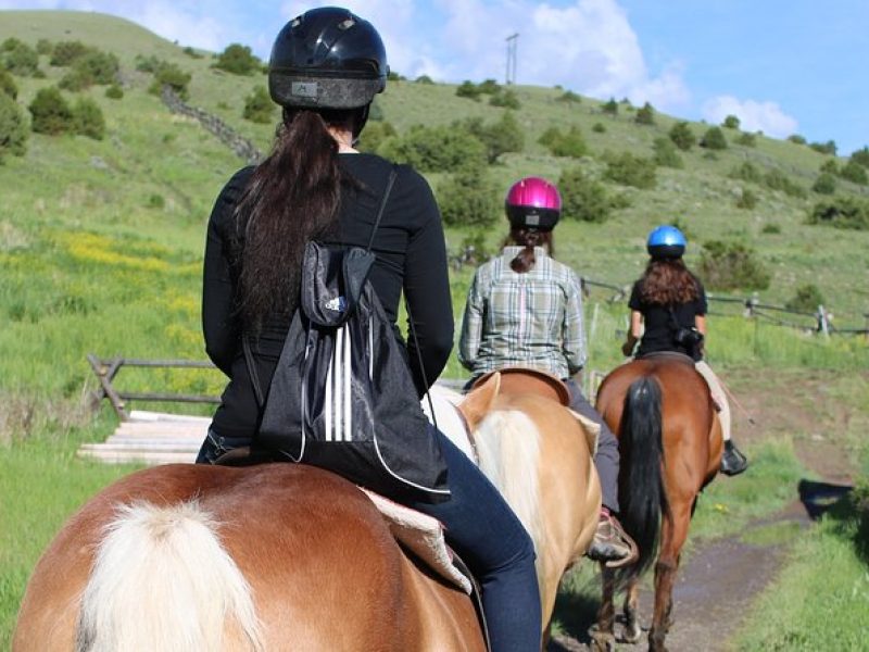 Guided Horseback Trek through Blue Flower Trail