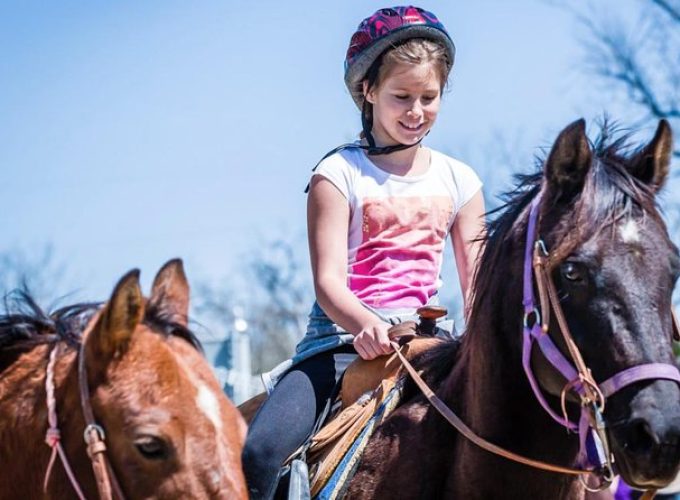 Pony Lead a Fun Experience for Young Children