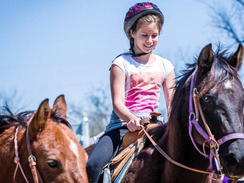 Pony Lead a Fun Experience for Young Children