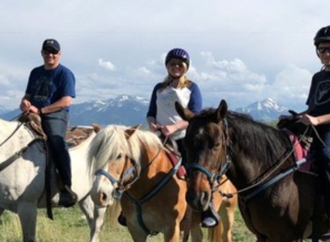 1-Hour Indoor Activity Horsemanship