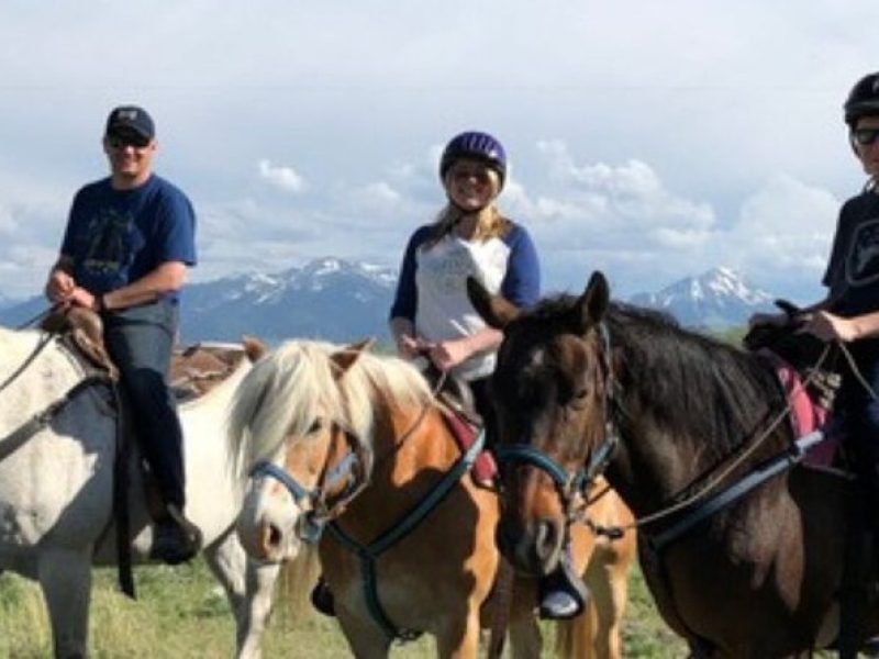 1-Hour Indoor Activity Horsemanship