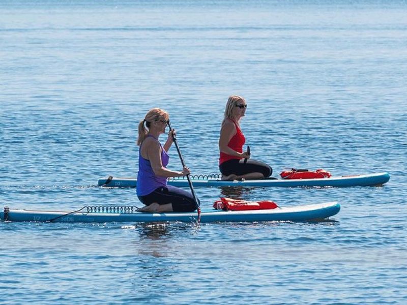 Dolphin and Manatee Stand Up Paddleboard Tour in Daytona Beach