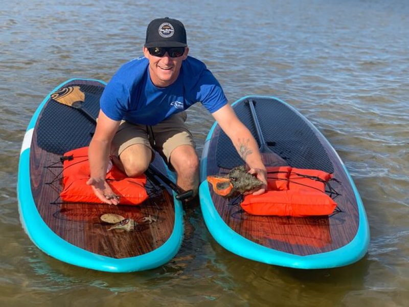 Dolphin and Manatee Tour of Marco Island by Kayak or SUP