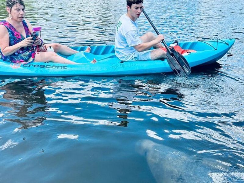 Dolphin and Manatee Kayak and SUP Adventure Tour of Cocoa Beach