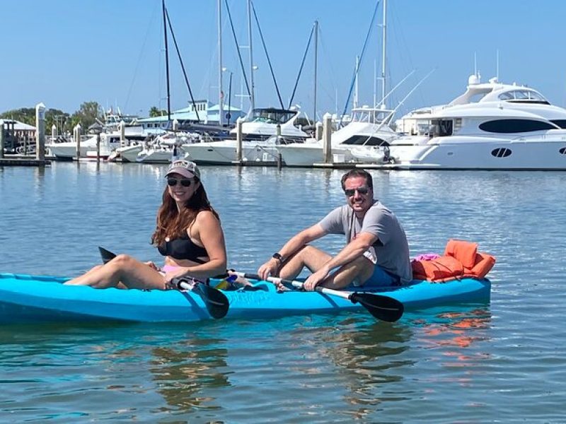 Dolphin, Manatee and SeaTurtle SUP Adventure Tour of St Augustine