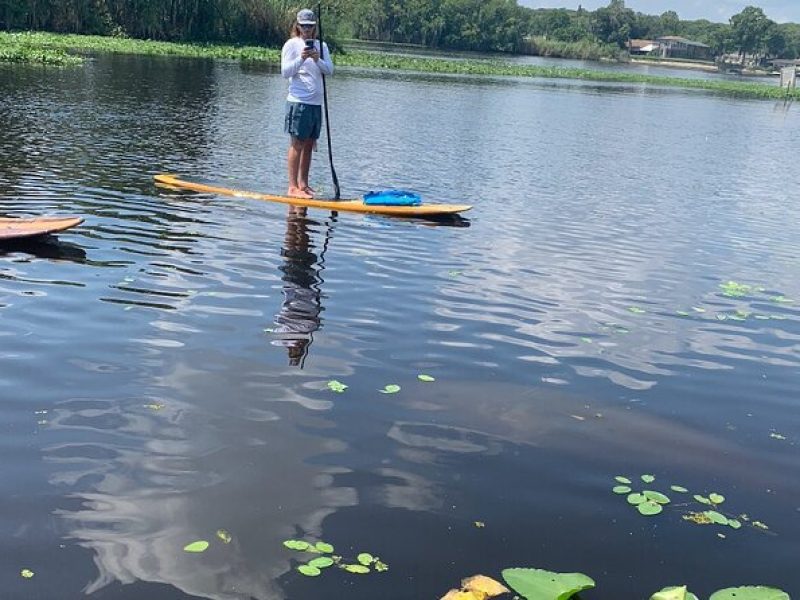 Orlando Manatee and Olde Florida History Adventure Tour