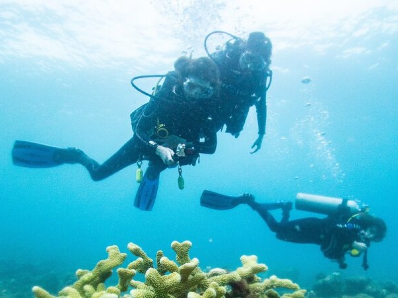 One Tank Scuba Diving in Kauai South Shore Certified Diver Only