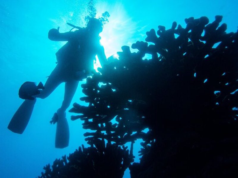 1 Tank Discover Scuba at Koloa Landing with No Experience needed