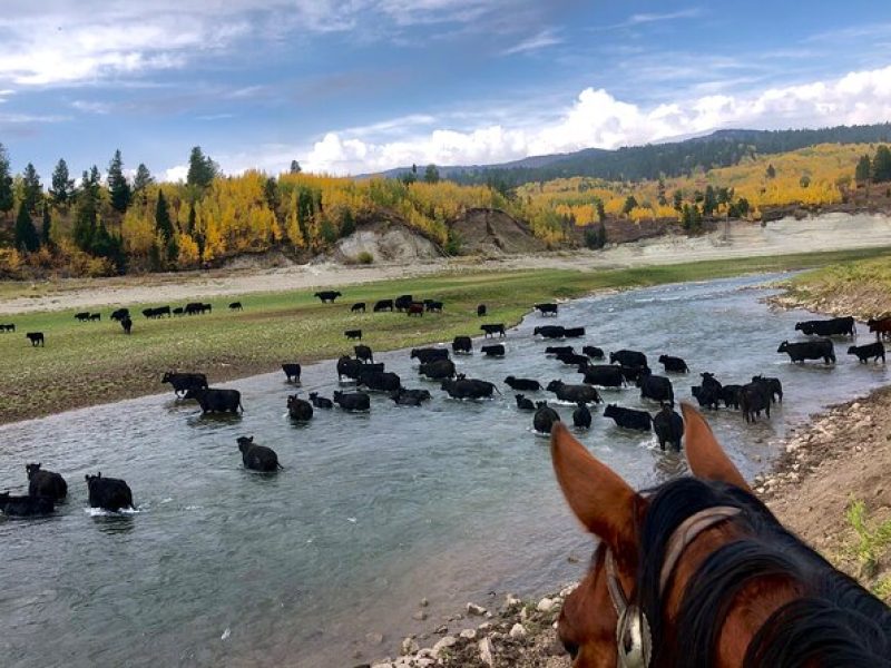 Private Horseback Riding in Wyoming