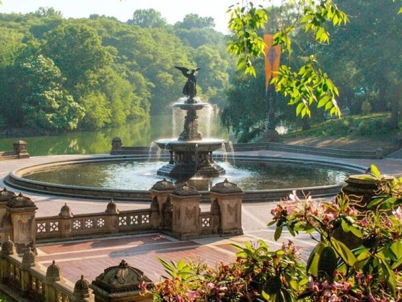 Central Park Wonders And Secrets Shared Walking Tour