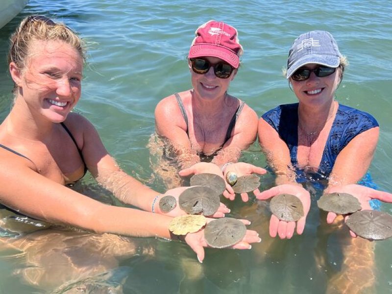 Private Island Eco Tours on a Private Boat from Shackleford Banks