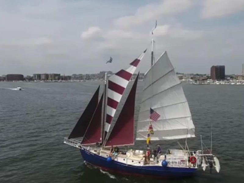 Baltimore Inner Harbor Sail on Summer Wind