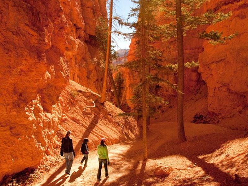 2 Days Bryce Canyon and Zion Park Start Ends in Las Vegas