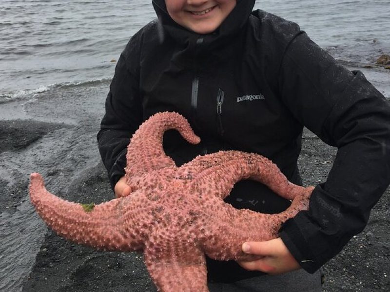 Low Tide Excursion & Beach Bonfire (w/ Totem Park Stop)