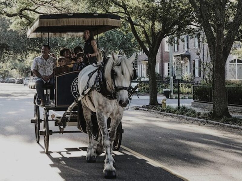 Haunted Horse and Carriage Evening Tour in Downtown Charleston