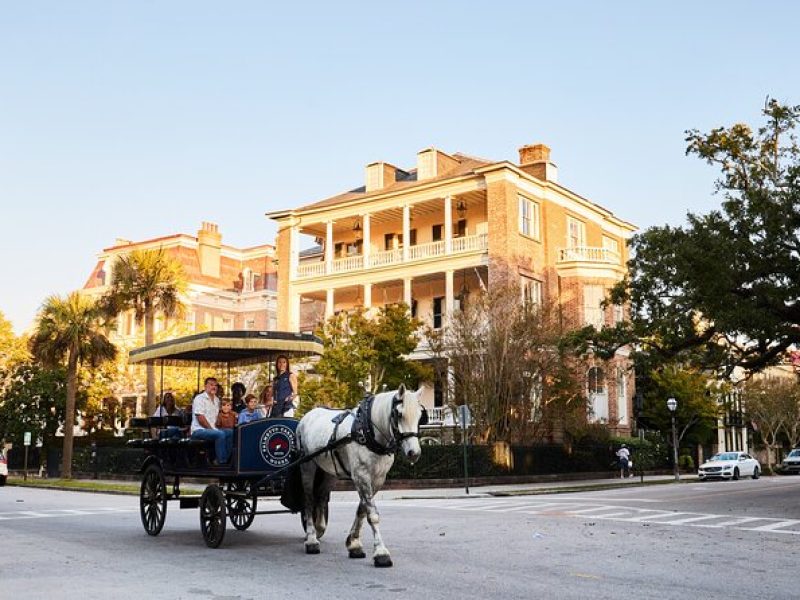 Manager's Special Horse & Carriage Tour of Charleston