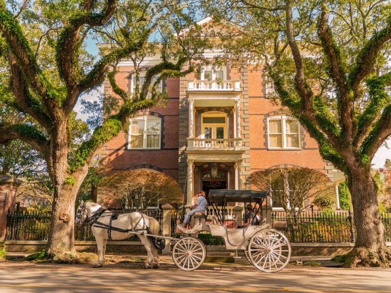 Private Daytime or Evening Horse-Drawn Carriage Tour of Historic Charleston