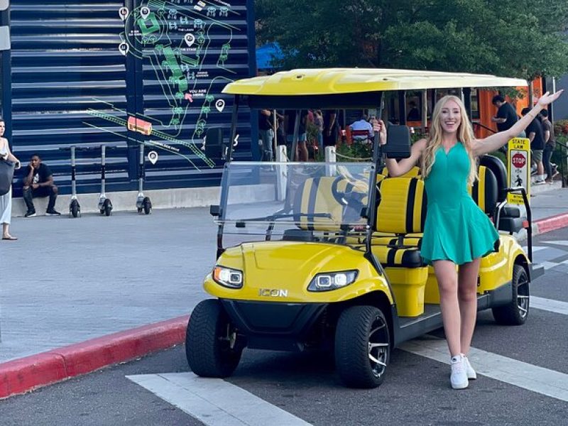 Guided Tampa Sightseeing Tour in New Street Legal Golf Cart