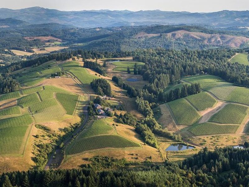 All Day Northern Oregon Wineries and Forest Bike Tour