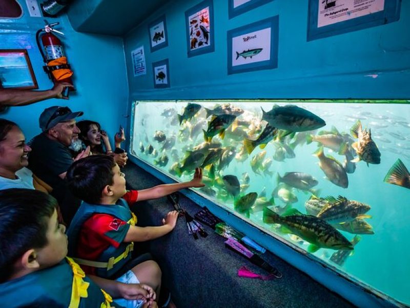 Glass Bottom Boat Ride in Redondo Beach