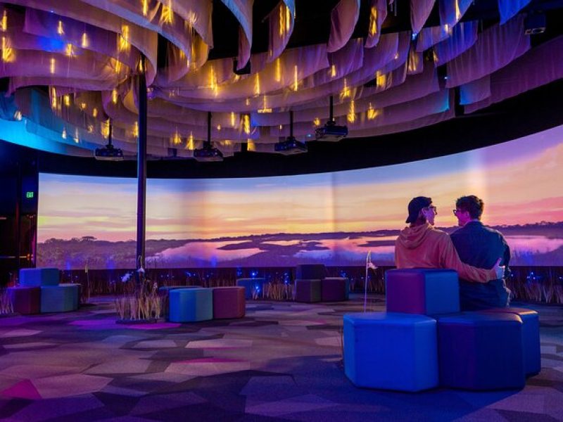 Immersive Art & Technology Museum in St. Pete