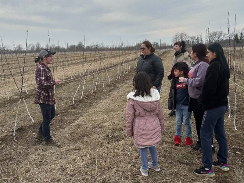 Lunch and Tour of an Apple Orchard with a Farmer in Elyria