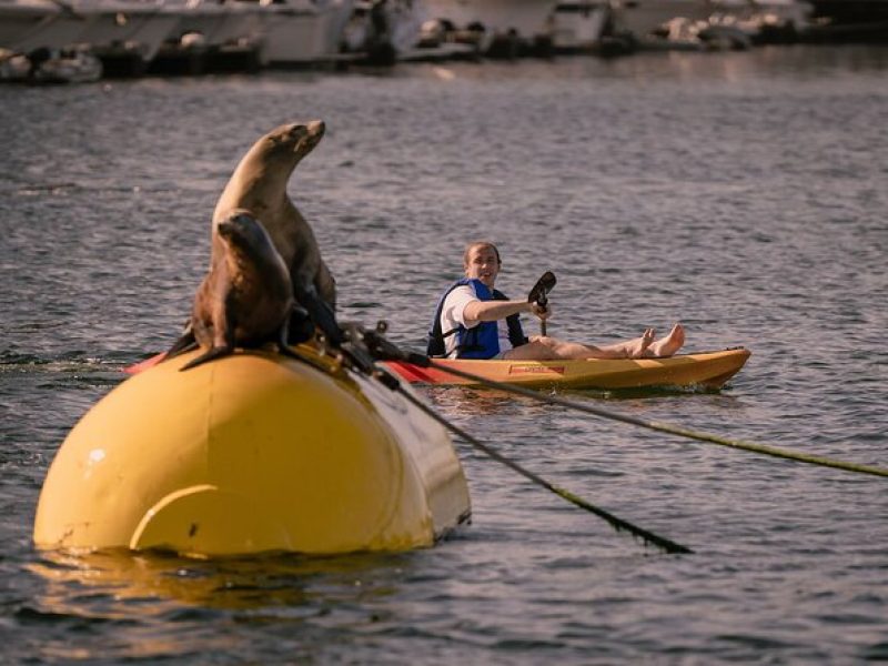 Single Kayak Rental in Mission Bay