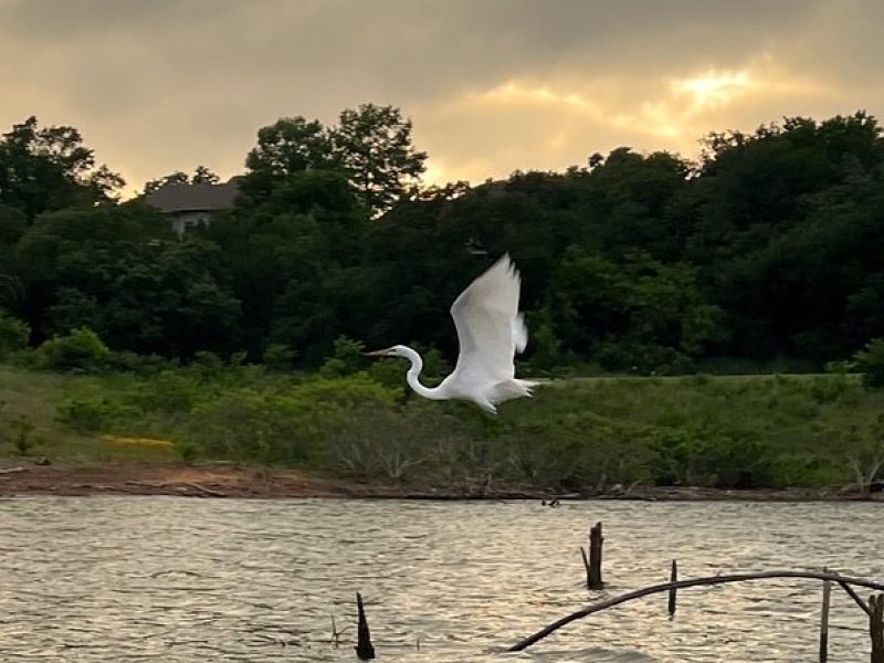 Grapevine Lake Kayak Eco Tour