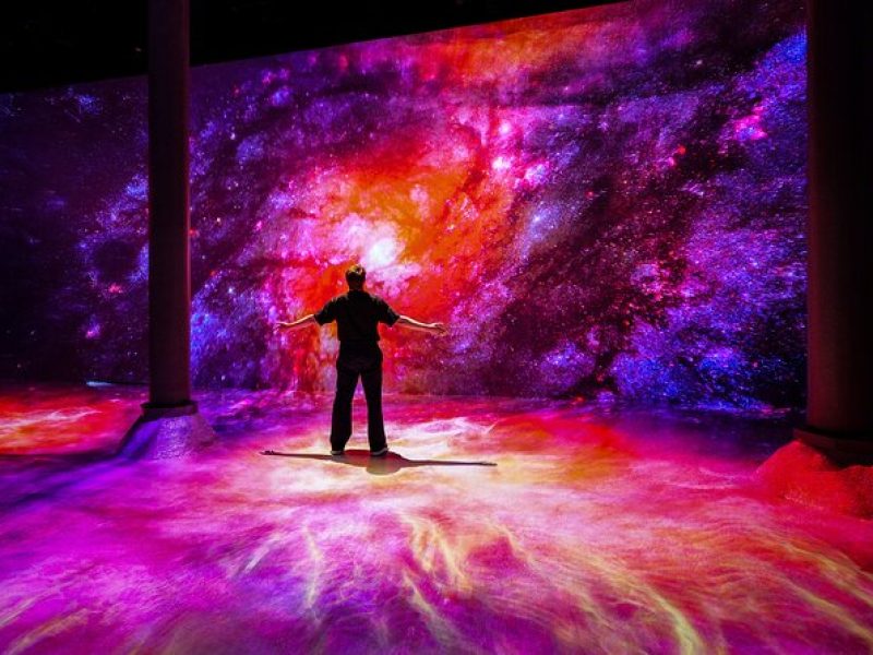 ARTECHOUSE NYC Immersive Art Experience with Reserved Timed Entry