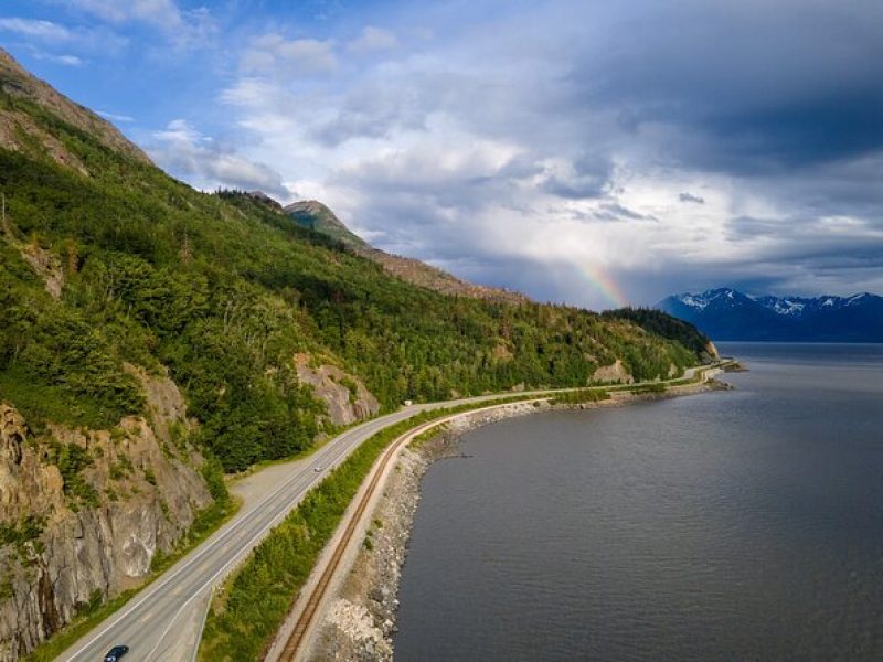 Seward to Anchorage- Post Cruise Curated Wildlife Tour +Transfer