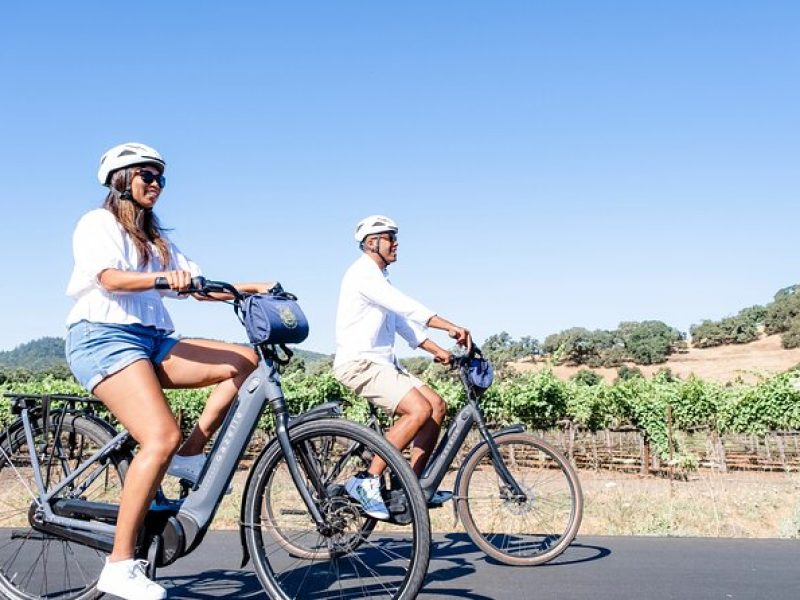 Half-Day Napa Valley E-Bike Tour