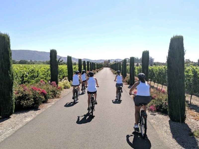 Sonoma Valley Bike and Wine Ebike Tour