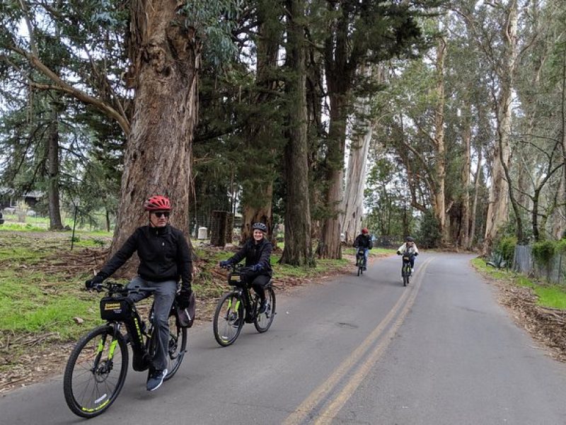 Behind-the-Scenes Food and Wine E-Bike Tour