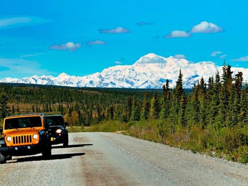 Denali Highway Jeep Excursion