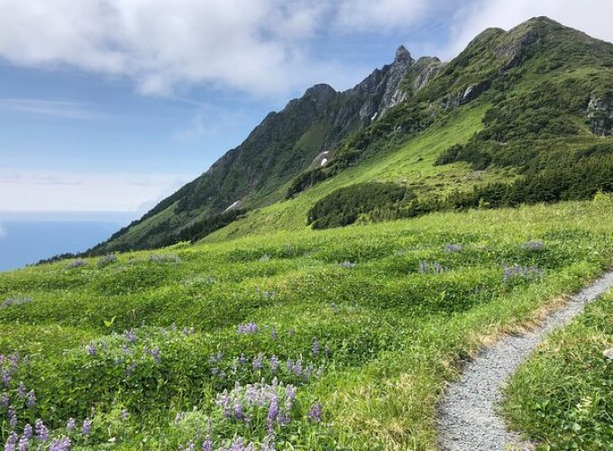 Private hiking Tour in Sitka, Alaska