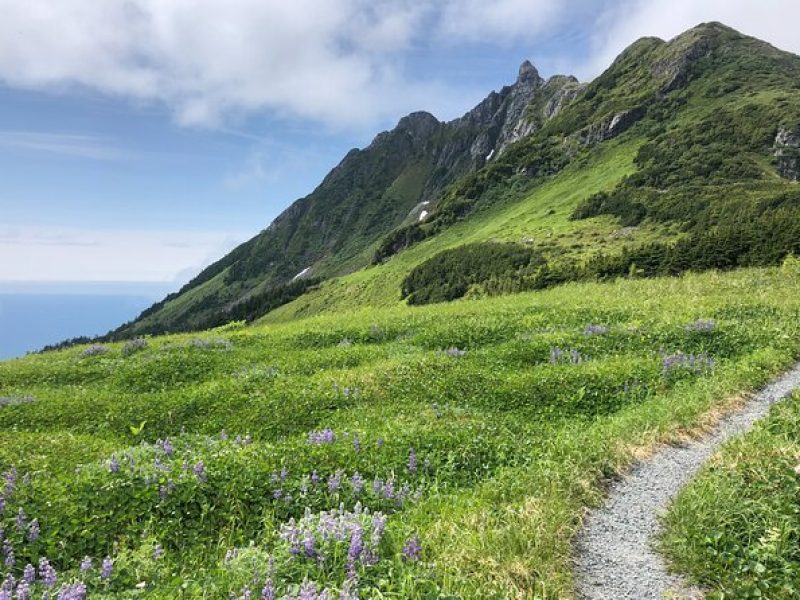 Private hiking Tour in Sitka, Alaska