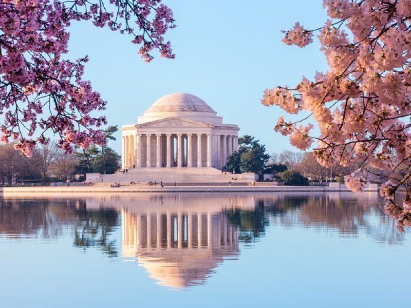 Small-Group Cherry Blossoms and Monuments Walking tour