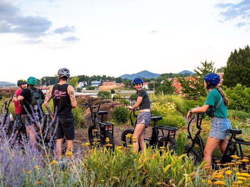 3-Hour E-Bike Sightseeing and Breweries Tour in Roanoke