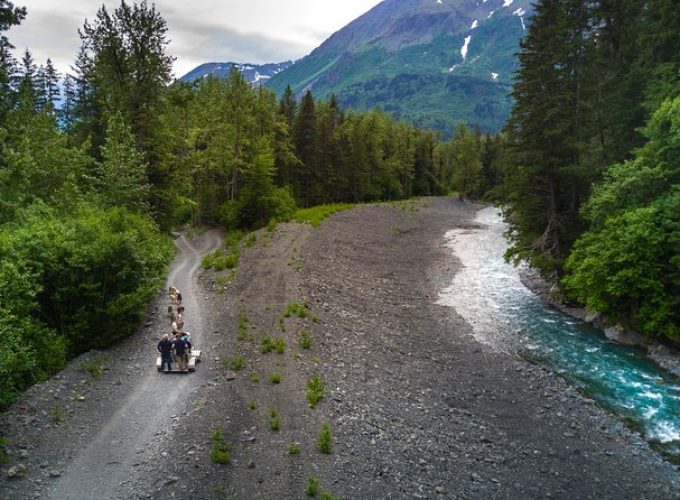 Seward and Kenai Fjords National Park Guided Tour with Lunch