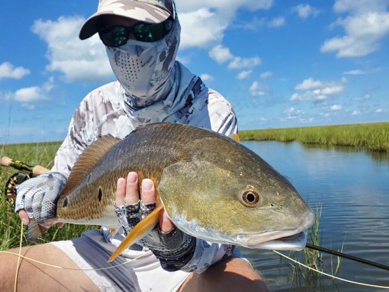 Catch Redfish in the Marsh from a SUP in New Orleans