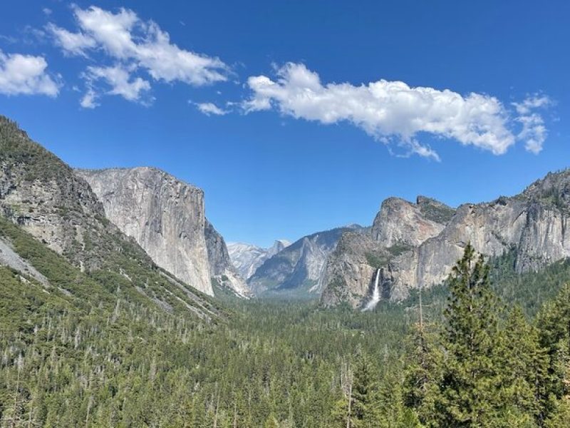 Yosemite National Park & Sequoias Private Tour from San Francisco