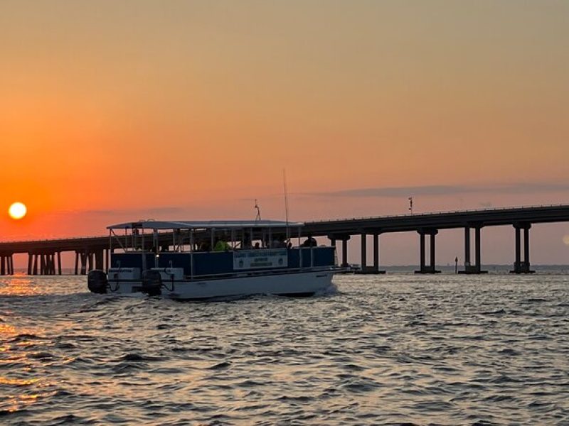 Sunset Dolphin Excursion