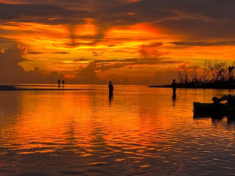 Naples Guided Sunset Kayak Tour Activity