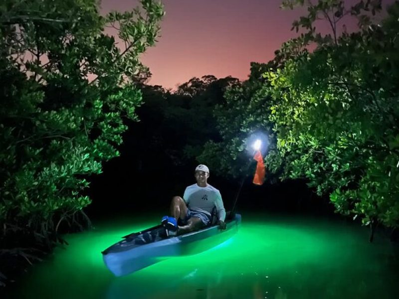 Guided Glow LED Kayak Sunset Activity in Bonita Springs