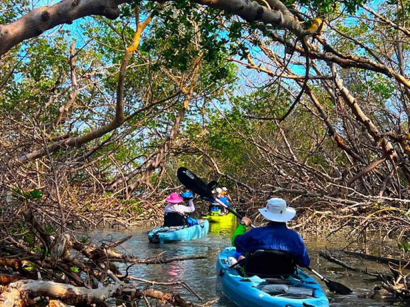 4-Hour Guided Kayak Adventure in Bonita Springs