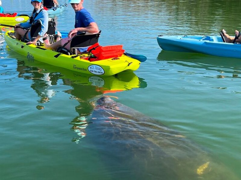 3 Hour Hobie Kayak Adventure In Bonita Springs